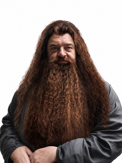 Wizard Costume Wig and Beard