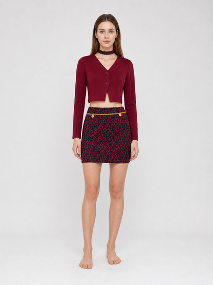 Mary Cosplay Costume: Burgundy Top and Skirt