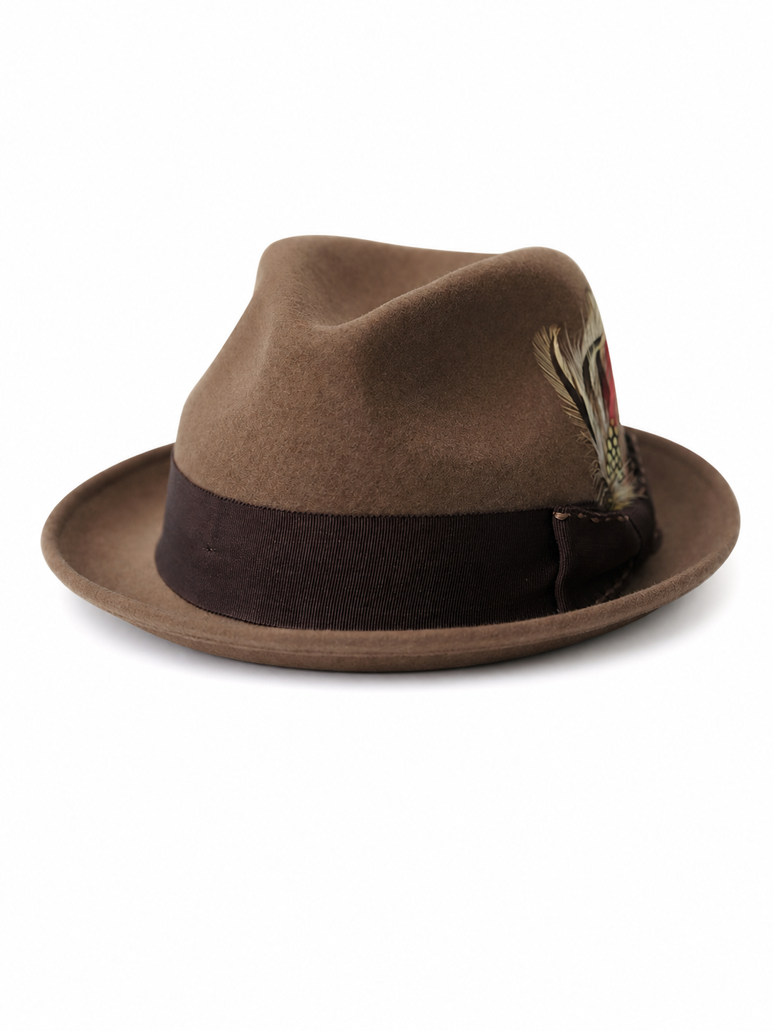 Carnival Fedora Hat with Feather and Wide Brim