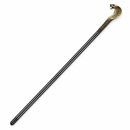 Black cane shown diagonally on a white background, with a curved gold-toned snake head handle