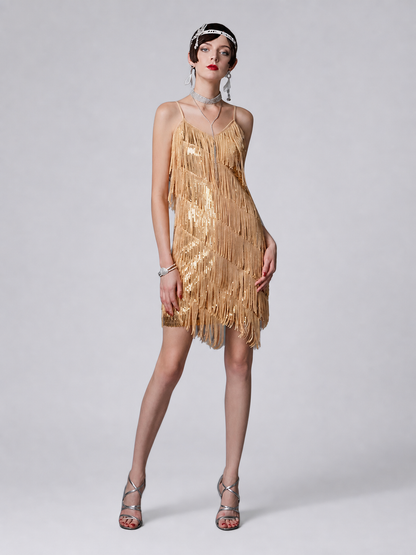 1920s Fringe and Sequin Dress