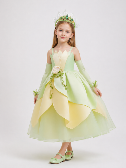 Princess Costume for Halloween and Cosplay Costumes detail