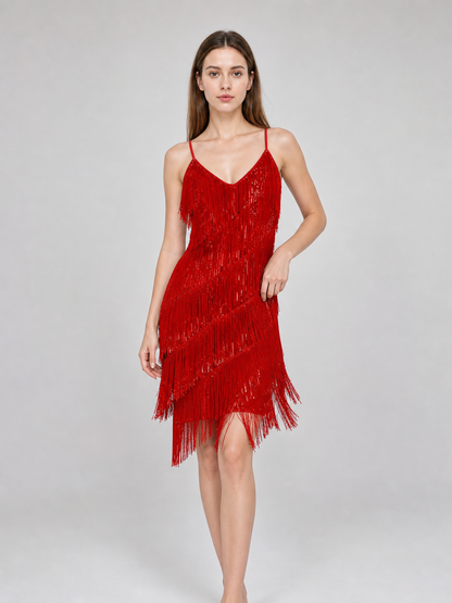 1920s-Style Fringe Dress Costume Set