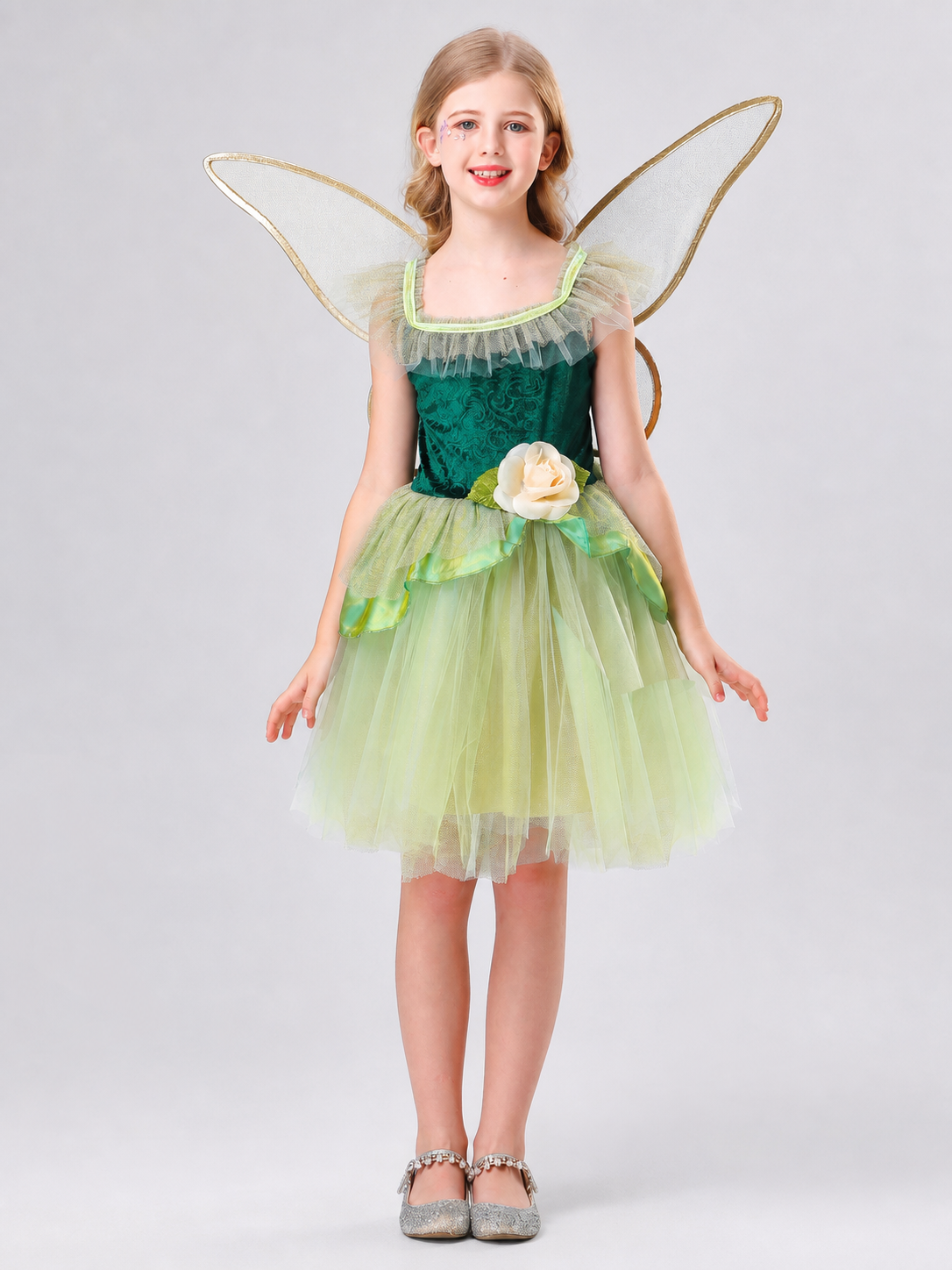 Fairy Costume with Wings and a Full Skirt
