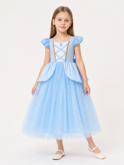 Light Blue Princess Costume Dress for Halloween