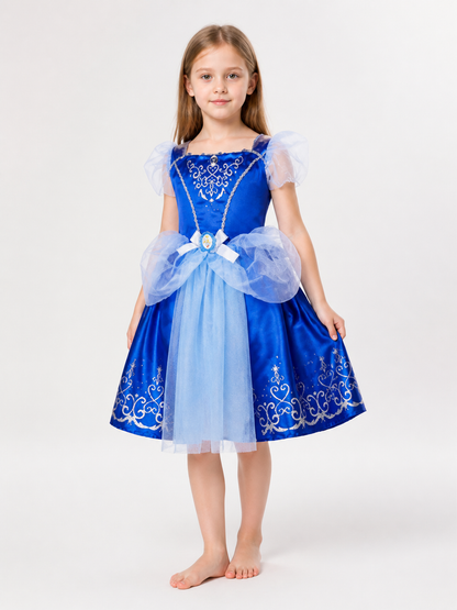 Blue Princess Costume with Silver Pattern Costumes detail