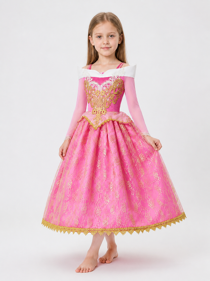 Princess Costume Dress for Halloween and Cosplay Costume Dresses detail