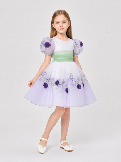 Princess Party Dress with Flowers and a Full Skirt Costume Dresses detail 2