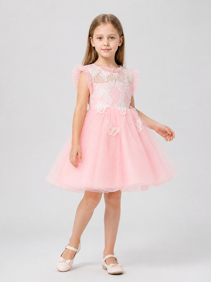Festive Girls' Dress with a Full Skirt and Butterflies Costume Dresses detail 2