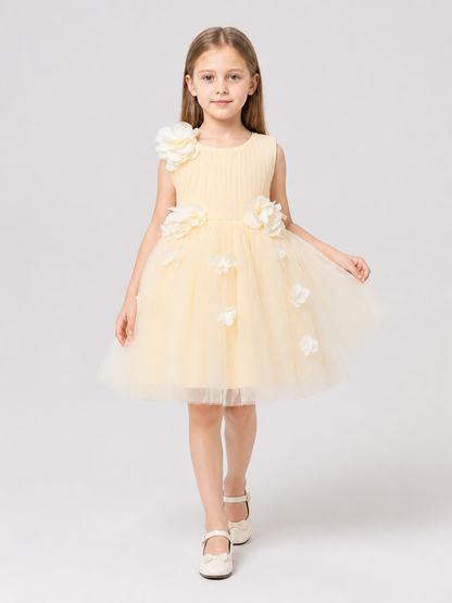 Full Skirt Dress with Floral Decoration for Performances