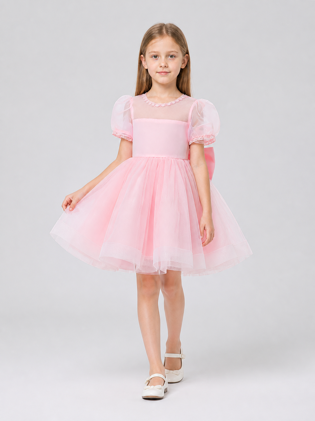Pink Lace Princess Dress with Full Skirt Costume Dresses detail 2