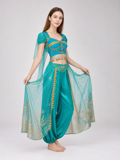Belly Dance Costume with Veil and Accessories