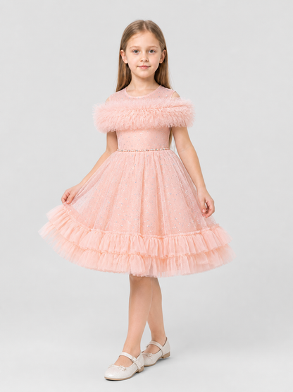 Pink Princess Dress with Sequins and Tulle Costume Dresses detail 2