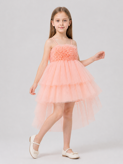 European Tutu Dress with Train for Performances Costume Dresses detail 2
