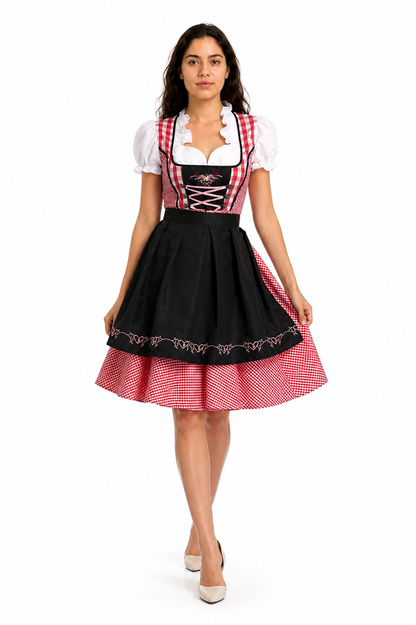 Dirndl with a Full Skirt and Red-and-White Checkered Apron Costume Dresses detail 2