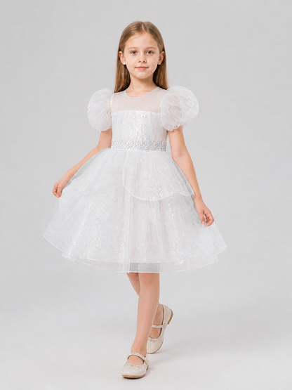 Festive Dress with Sequins, Lace, and Mesh