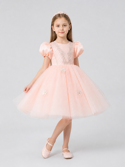Girls' Princess Dress with a Full Skirt and Lace Costume Dresses detail 2