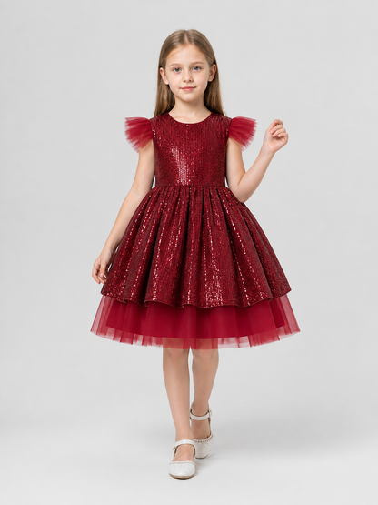 Festive Sequin and Tulle Princess Dress