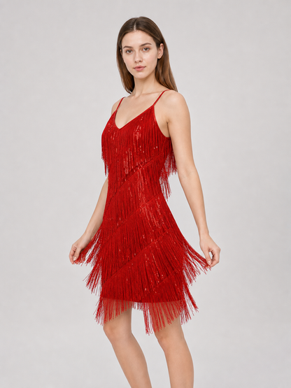 1920s-Style Fringed Dress Costume Set