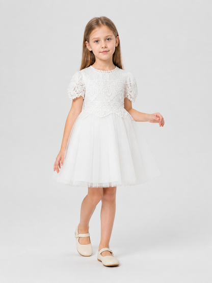 Dressy Lace and Embroidered Dress with Full Skirt Costume Dresses detail 2