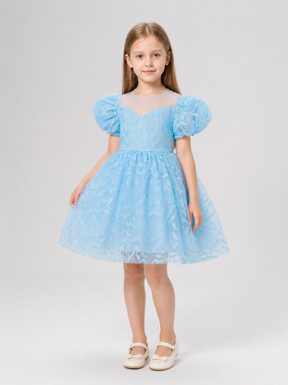 Embroidered Tutu Dress for Birthdays and Performances Costume Dresses detail 2