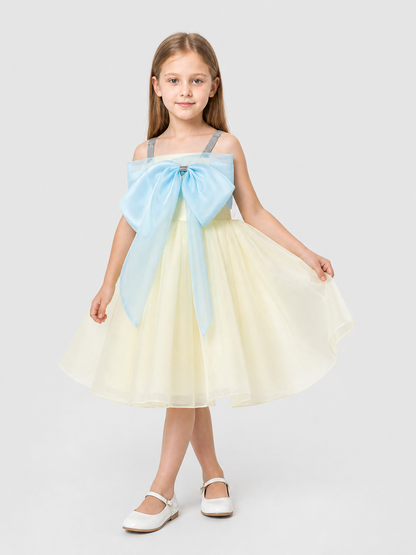 Princess Dress with a Full Layered Skirt and Bow Costume Dresses detail 2