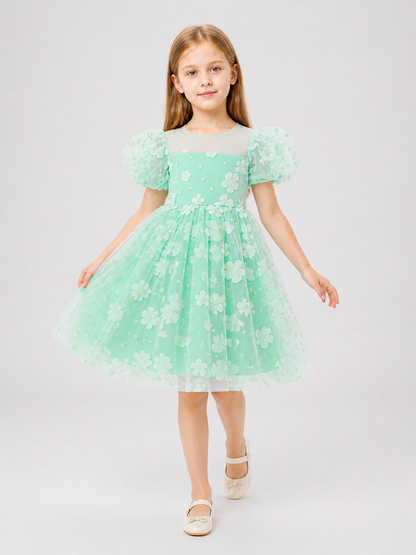 Mint Princess Dress for Girls with a Tulle Skirt Costume Dresses detail 2