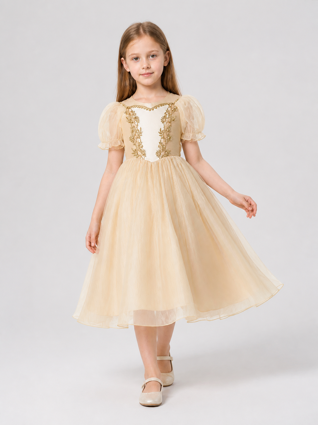 MSL90 Princess Dress with Gold Decoration for Celebrations Costume Dresses detail