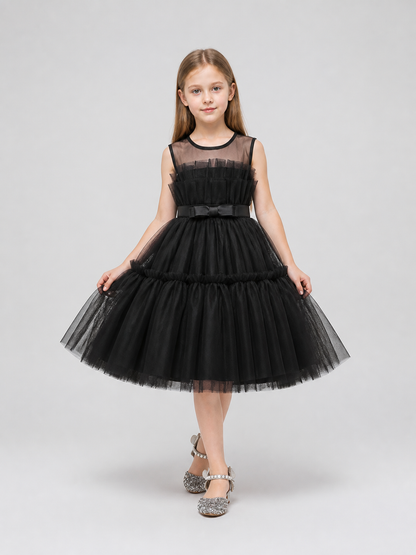 Black Princess Dress for Girls with a Full Skirt Costume Dresses detail 2