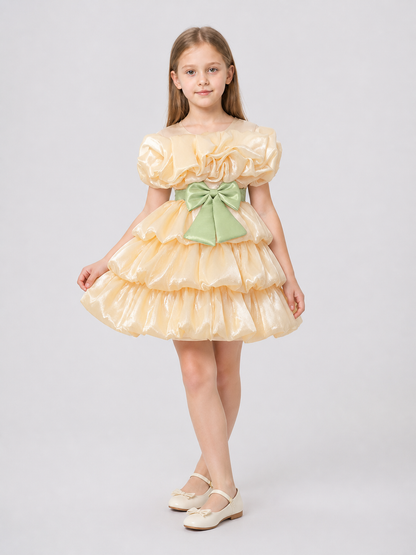 Princess Dress for Girls with a Full Skirt and Bow Costume Dresses detail 2