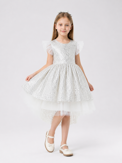 Dressy Sequin Dress with a Full Layered Skirt Costume Dresses detail 2