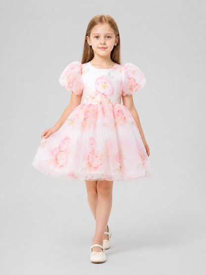 Princess Dress with Floral Print and Full Skirt Costume Dresses detail 2