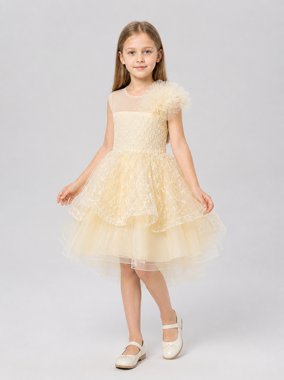 Girls' Formal Dress with Lace Embroidery and Train Costume Dresses detail 2