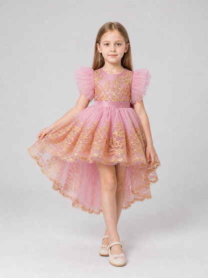 Princess Flower Girl Dress with Wings and Embroidery Costume Dresses detail 2