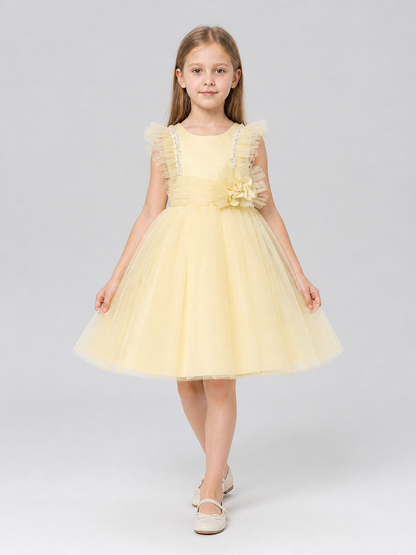 Formal Tutu Dress with a Multilayer Tulle Skirt Costume Dresses detail 2