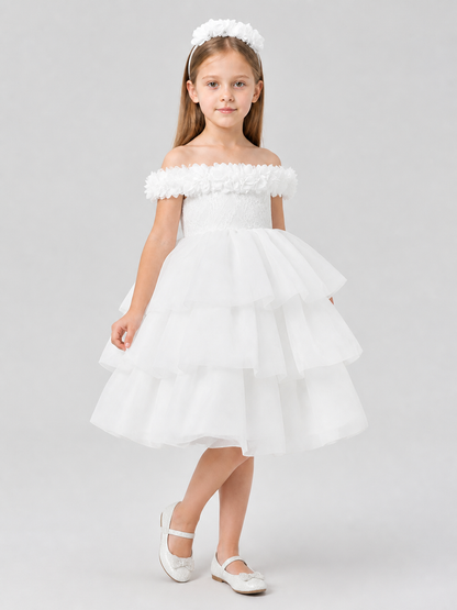 Princess Dress with Lace Bodice and Full Skirt Costume Dresses detail 2