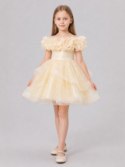Festive Sequin Dress with a Full Skirt