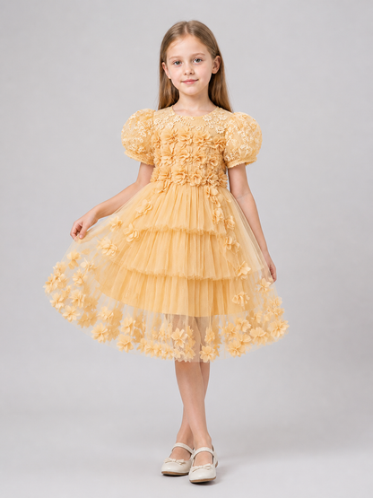 Full Lace Dress with Train for Performances