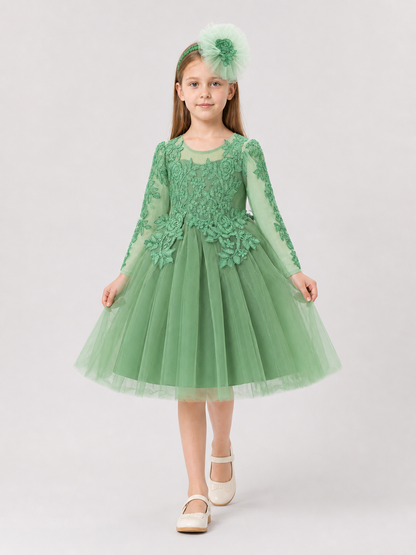 Embroidered Princess Dress with Full Skirt and Headband Costume Dresses detail 2