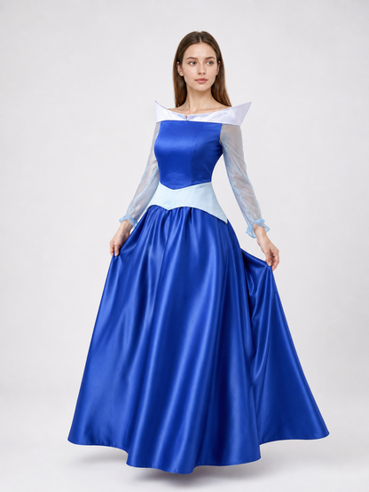 Princess Costume Dress for a Festive Look