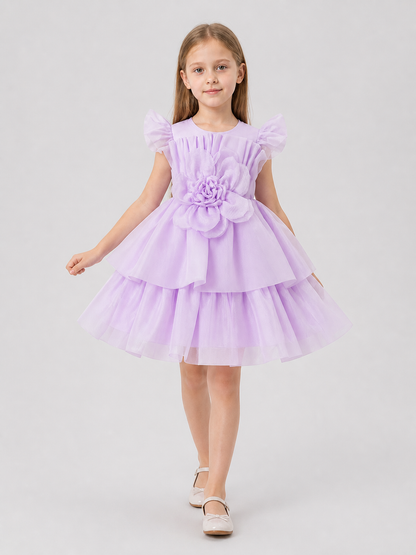 Festive Tulle Princess Dress with Bow Costume Dresses detail 2