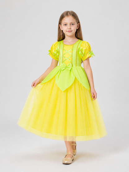 Princess Dress with a Full Skirt and Puff Sleeves