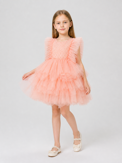 Lace and Tulle Princess Dress for a Birthday