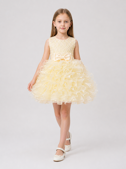 Girls' Dressy Lace Dress with a Full Skirt Costume Dresses detail 2