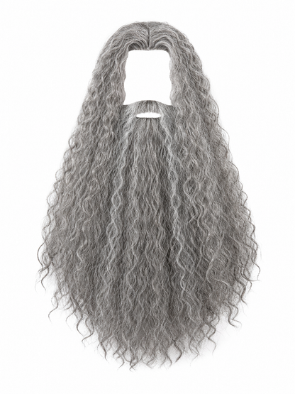 Carnival Wig with Beard for a Wizard Costume