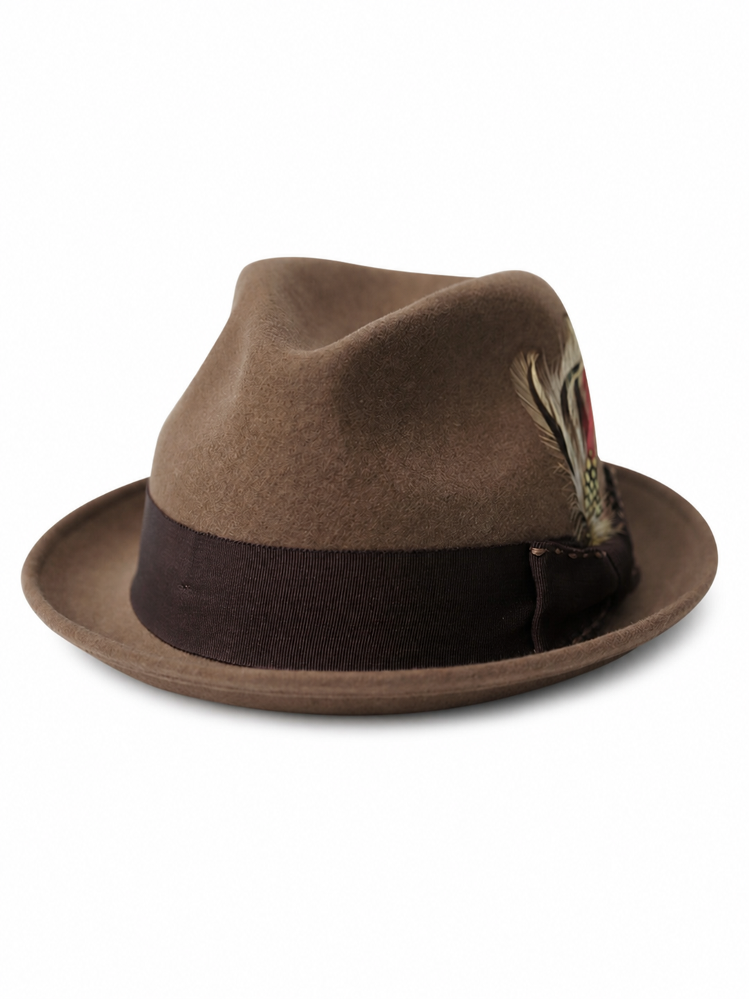 Carnival Fedora Hat with Feather and Wide Brim