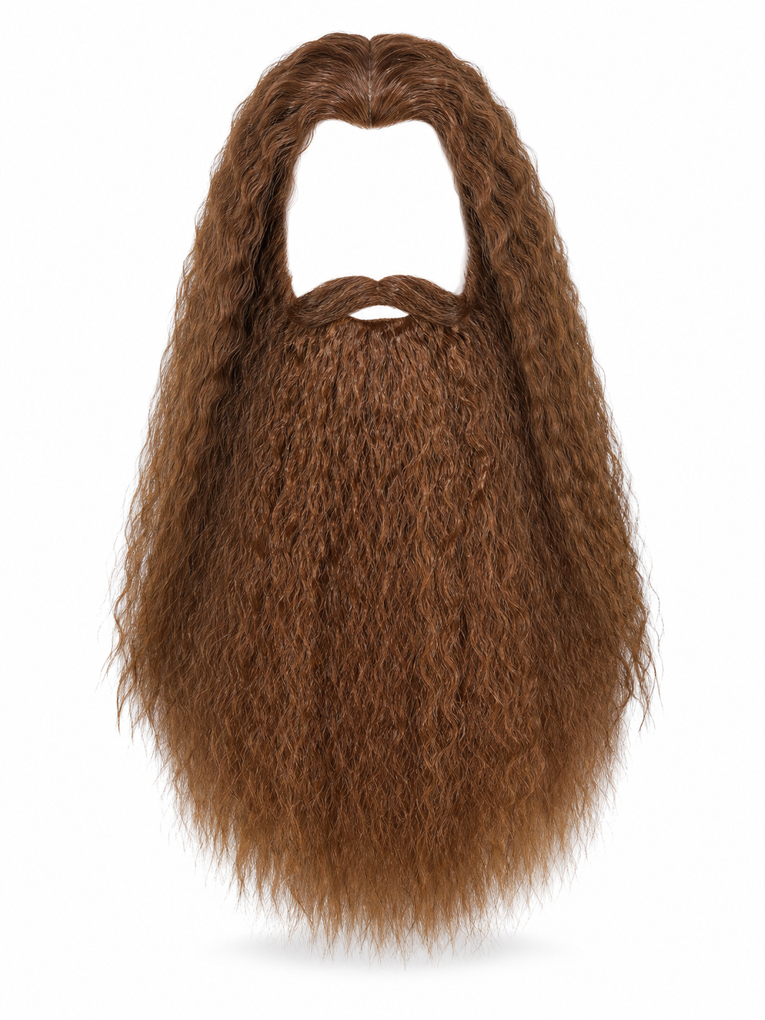 Wizard Costume Wig and Beard