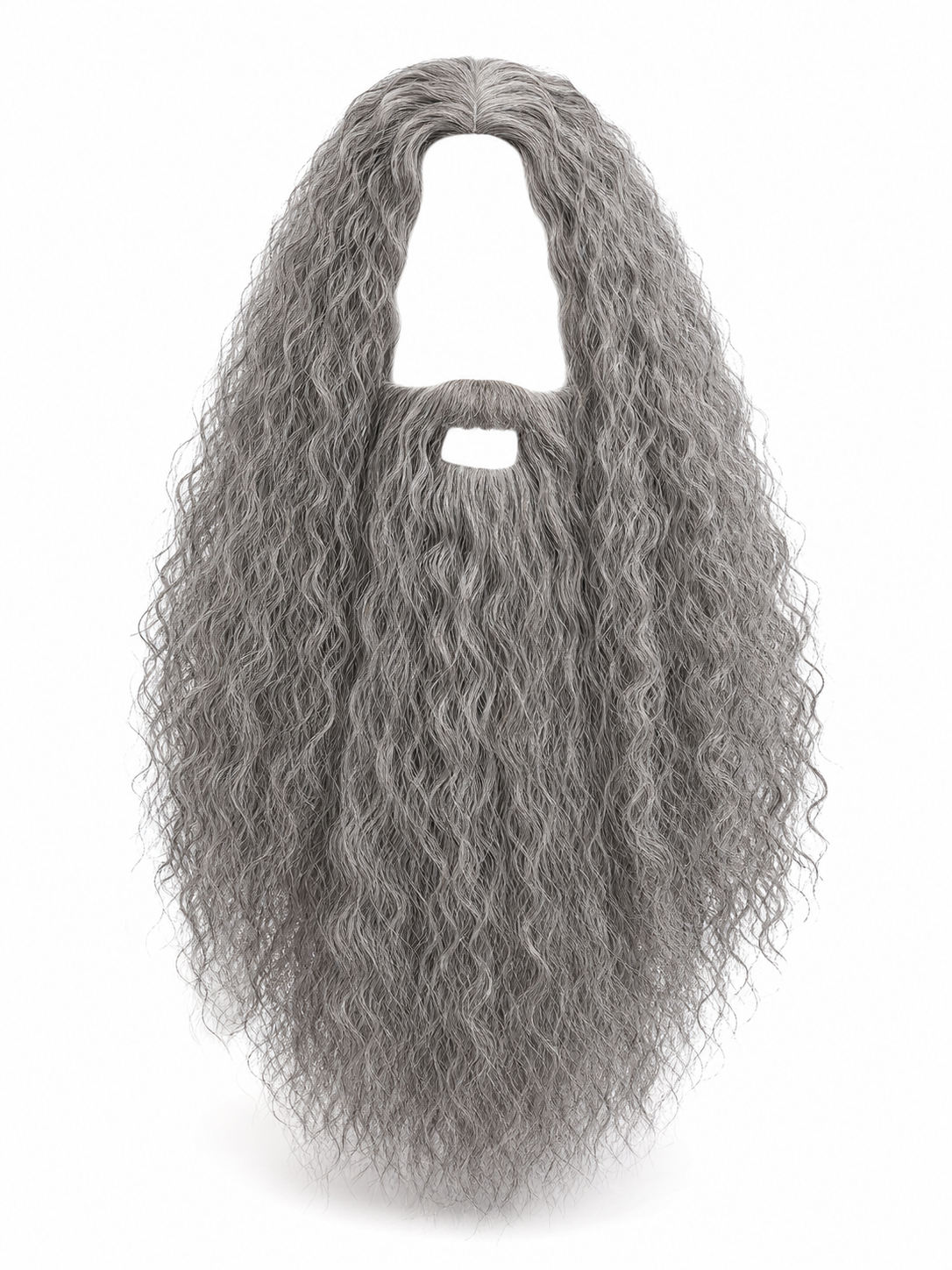 Carnival Wig with Beard for a Wizard Costume