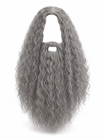 Carnival Wig with Beard for a Wizard Costume