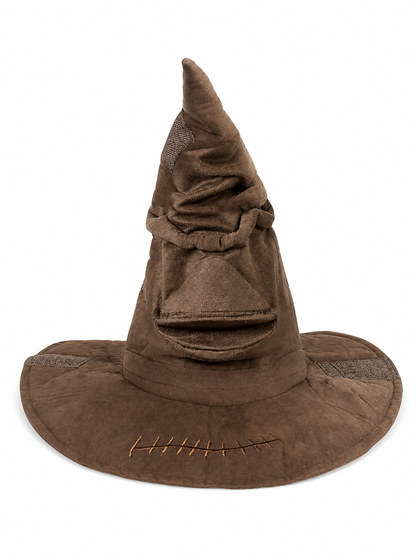 Carnival Cone Hat with Wide Brim